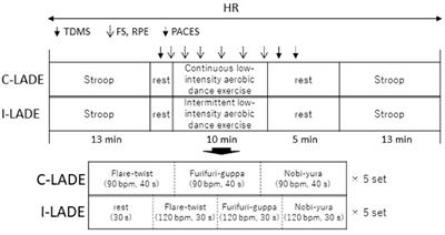 Comparison Between the Effects of Continuous and Intermittent Light-Intensity Aerobic Dance Exercise on Mood and Executive Functions in Older Adults